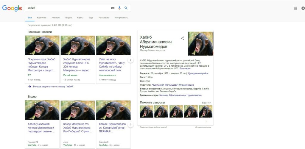 Нурмагомедов победил Макгрегора Нурмагомедов победил Макгрегора