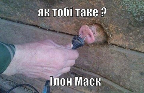 Маск попросил мемы