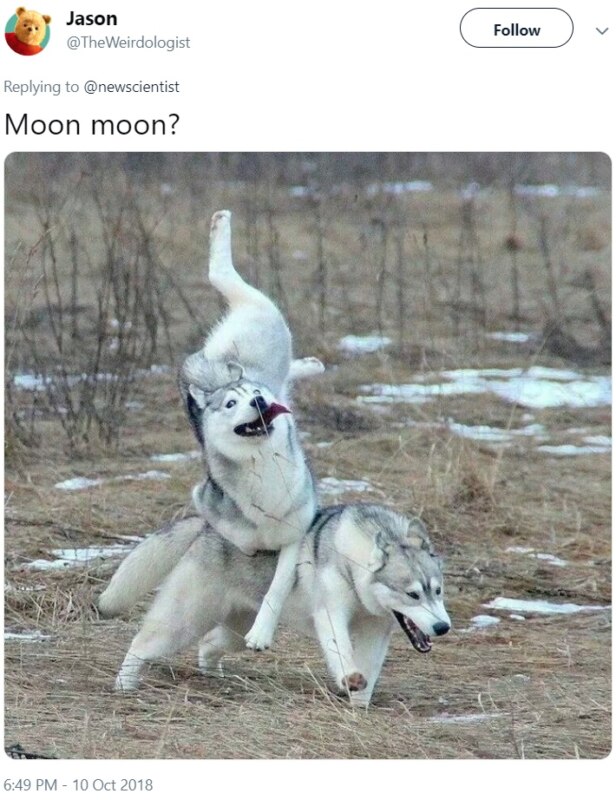 Moon Moon Moon Moon
