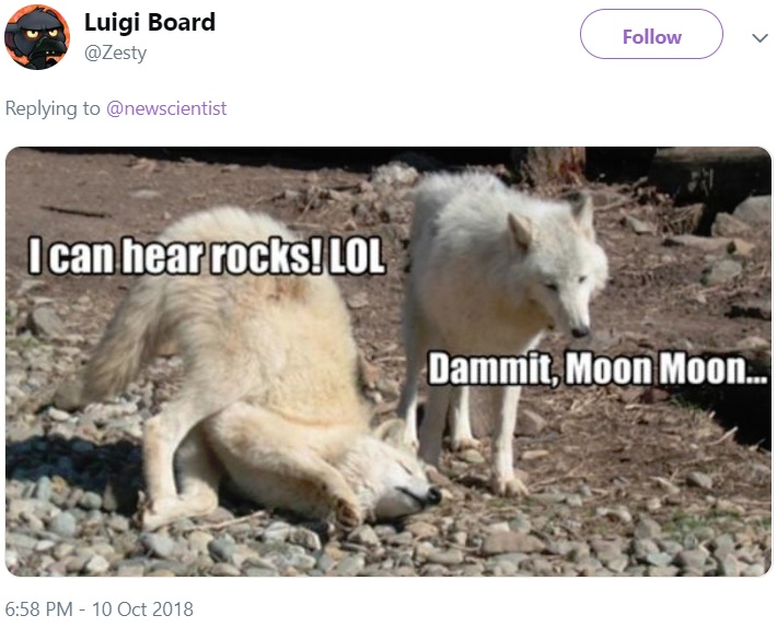 Moon Moon Moon Moon