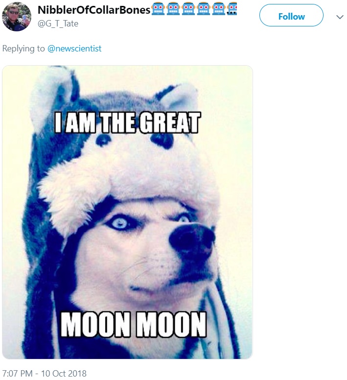 Moon Moon Moon Moon