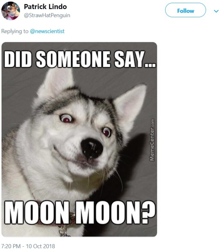 Moon Moon Moon Moon