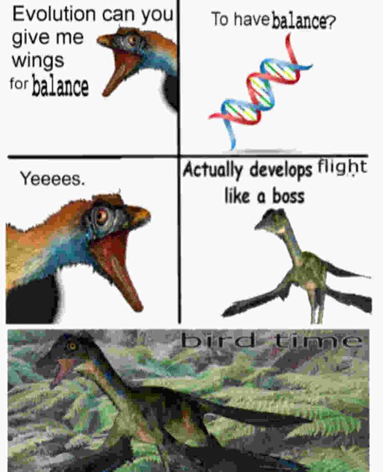 Evolution Can You Give Me Wings Evolution Can You Give Me Wings