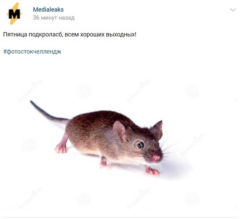 #фотостокчеллендж