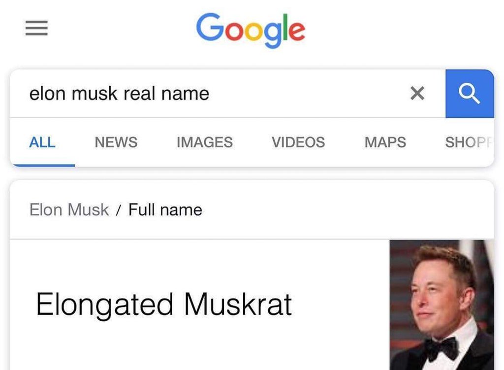 Маск попросил мемы