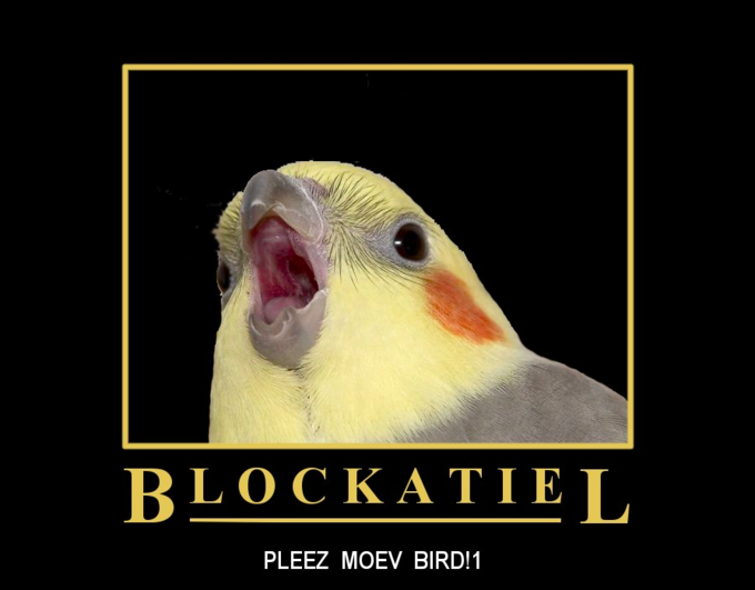 Blockatiel PLEEZ MOEV BIRD!1