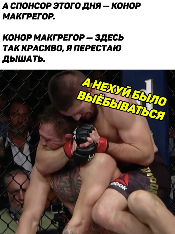 Нурмагомедов победил Макгрегора Нурмагомедов победил Макгрегора