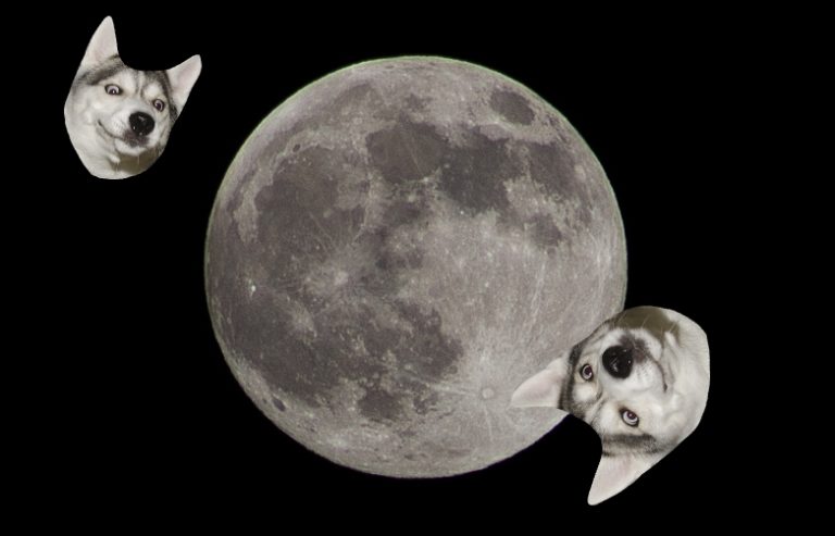 Moon Moon