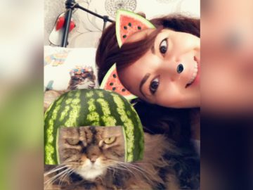 Кошачьи фильтры Snapchat
