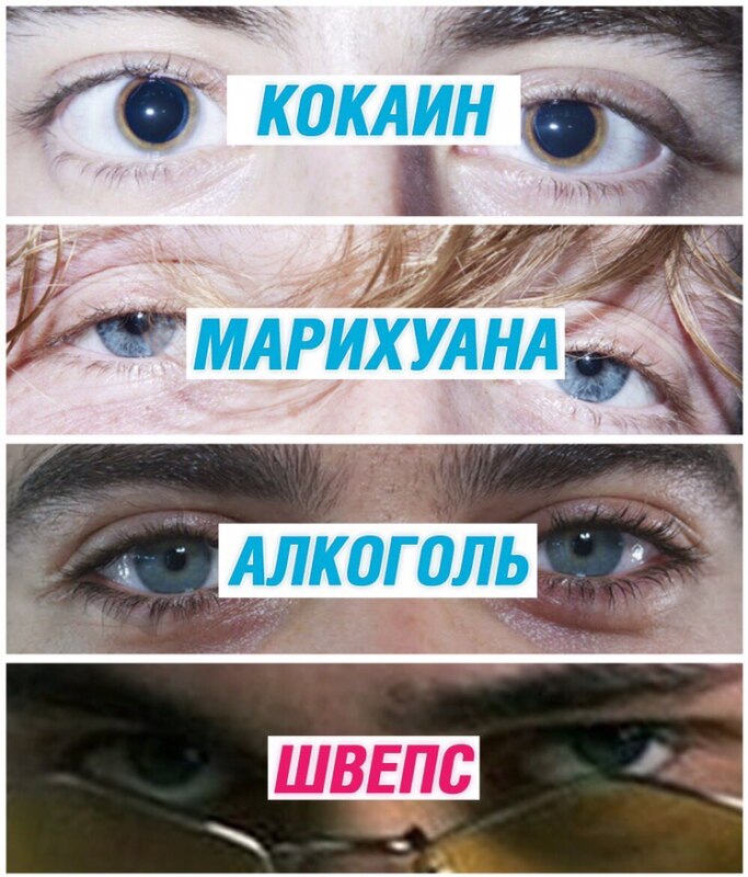 Мемы про швепс и чуитс