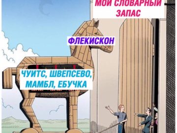 Мемы про швепс и чуитс