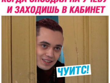 Мемы про швепс и чуитс