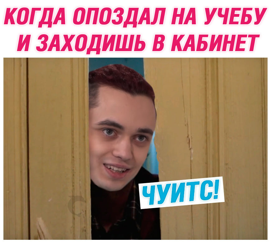 Мемы про швепс и чуитс