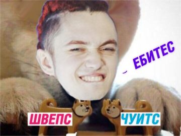 Мемы про швепс и чуитс