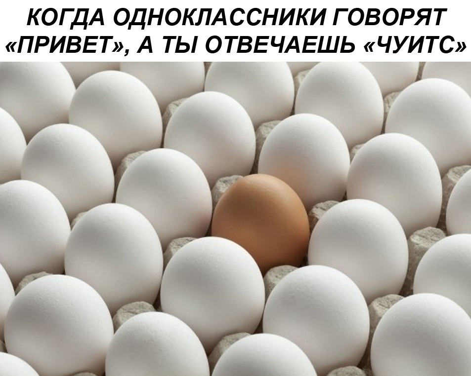 Что такое чуитс