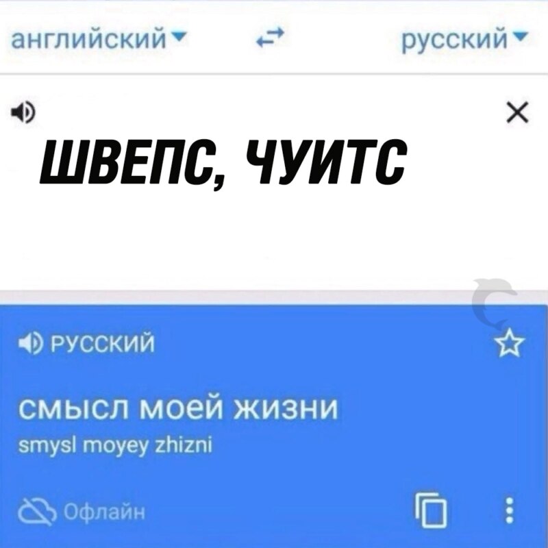 Швепс и чуитс