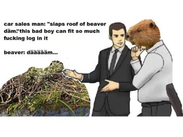 Бобёр и бревно