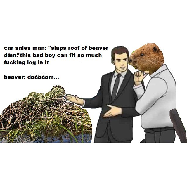 Бобёр и бревно