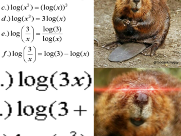 Бобёр и бревно