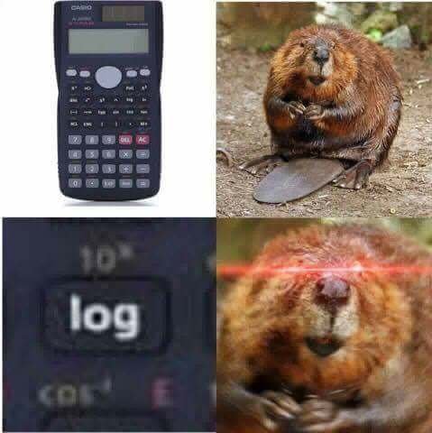 Бобёр и бревно Бобёр и бревно