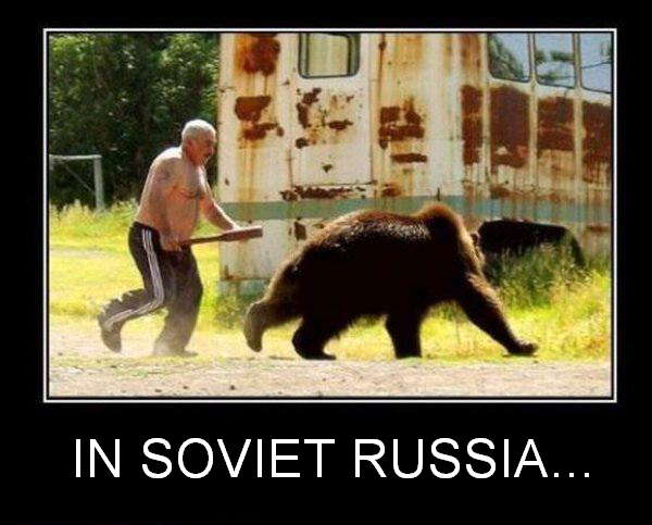 Медведь убегает от тебя