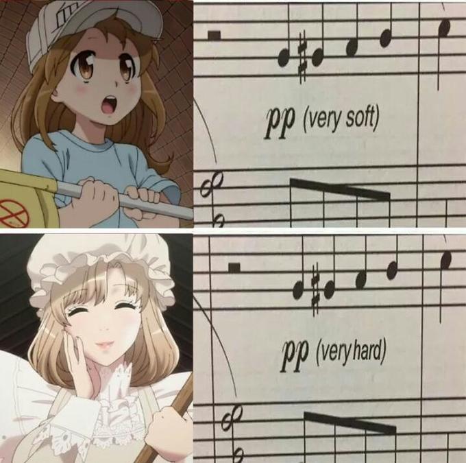 PP (very soft)
