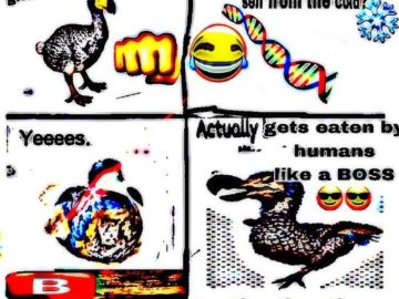 Evolution Can You Give Me Wings