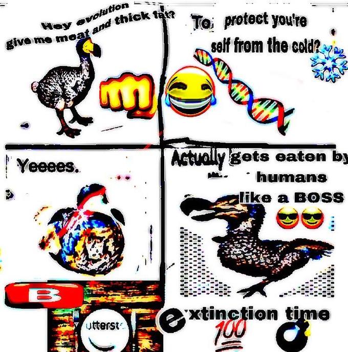 Evolution Can You Give Me Wings
