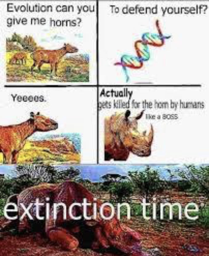 Evolution Can You Give Me Wings