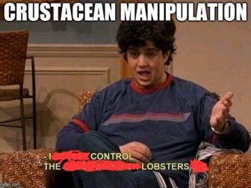I Do Not Control the Speed at Which Lobsters Die