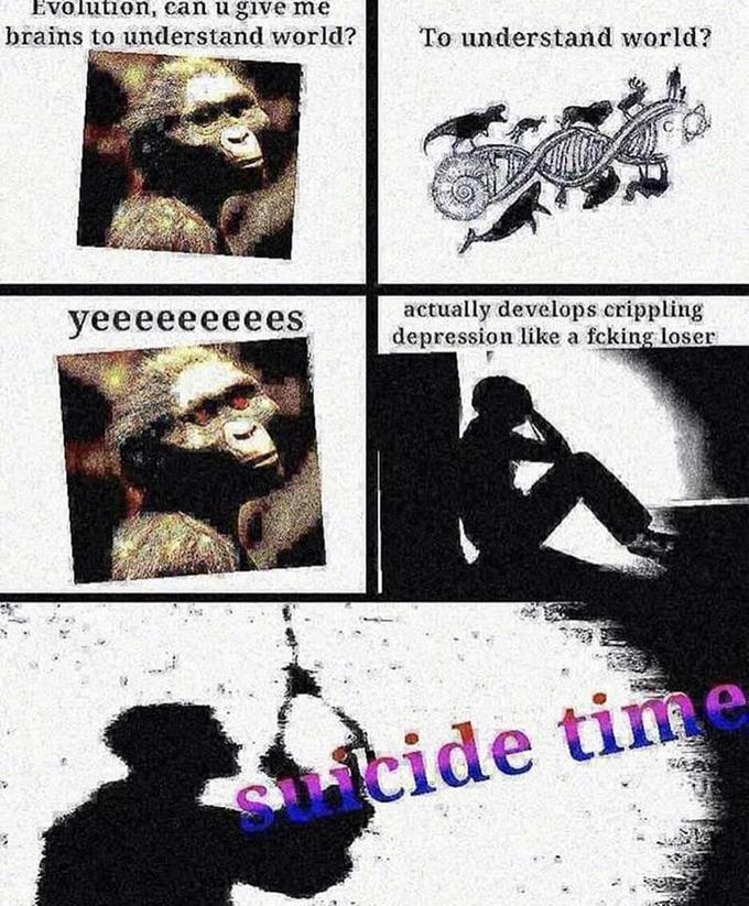 Evolution Can You Give Me Wings