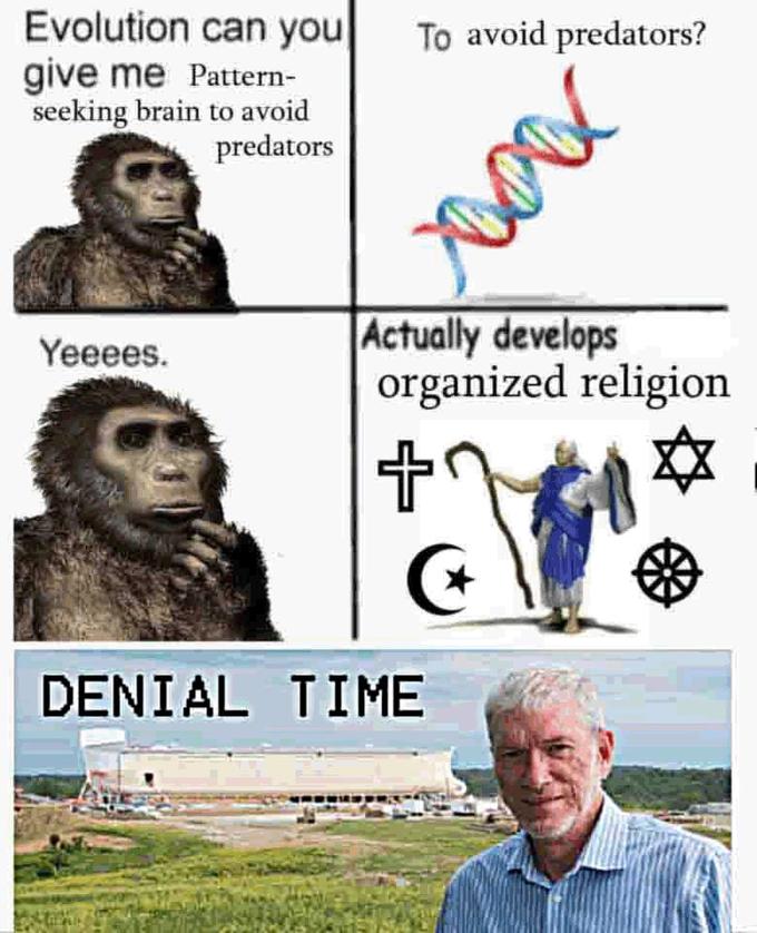 Evolution Can You Give Me Wings