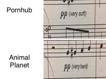 PP (very soft)