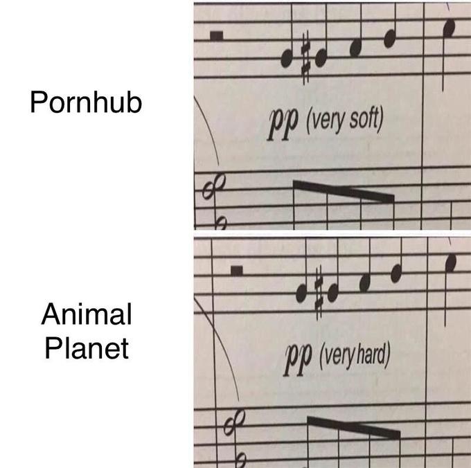 PP (very soft)
