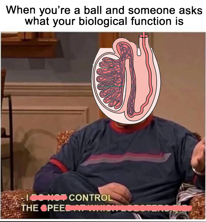 I Do Not Control the Speed at Which Lobsters Die