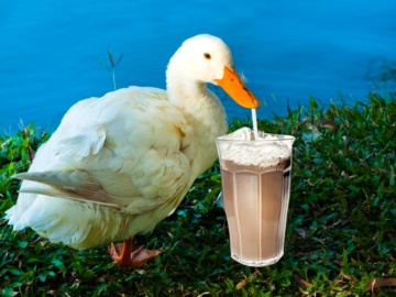 Milkshake Duck попивает молочный коктейль