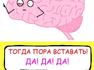 Мозг пора вставать посреди ночи