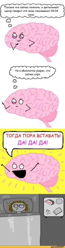 Мозг пора вставать посреди ночи