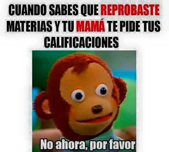 No Ahora Porfavor