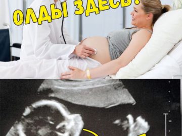 Олды тут