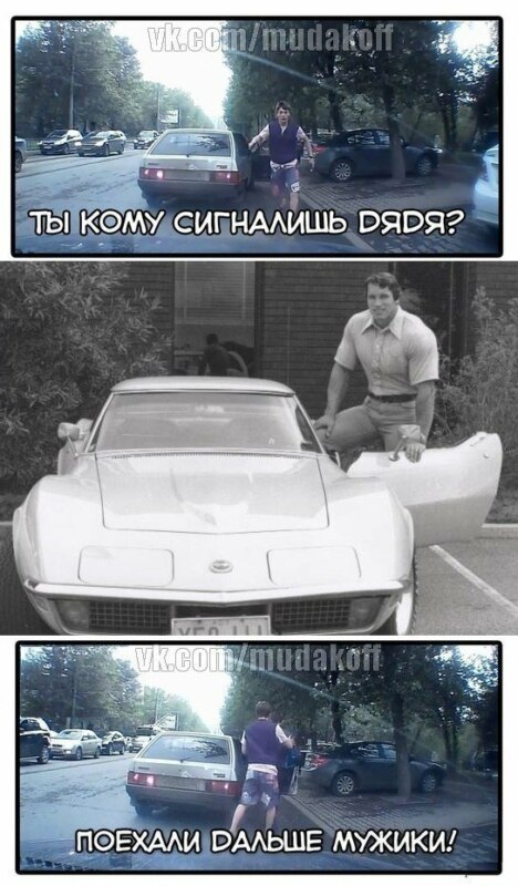 Ты кому сигналишь Арни