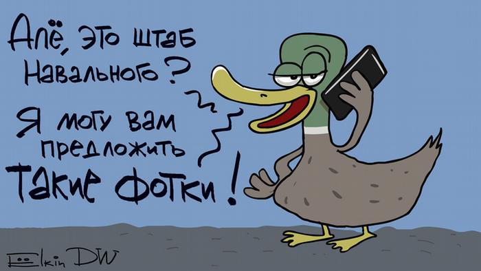 Уточка Медведева