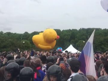 Уточка Медведева
