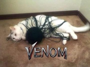 Веном