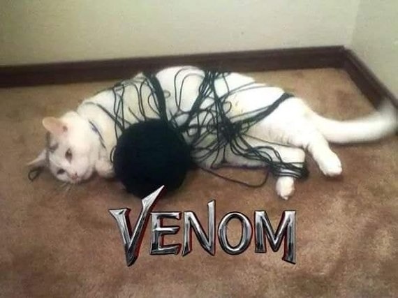 Веном