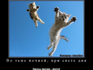 Во тьме ночной
