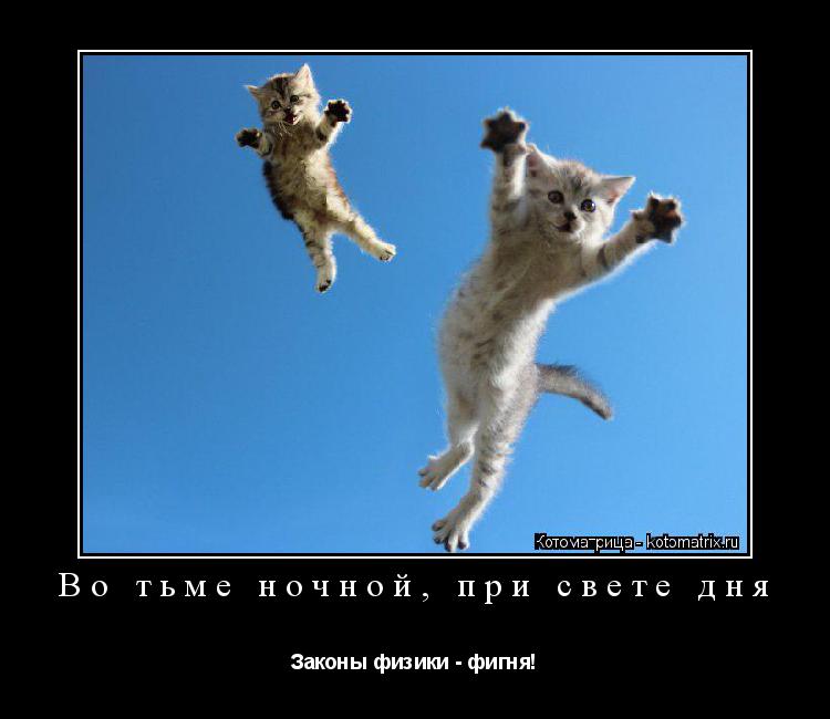 Во тьме ночной