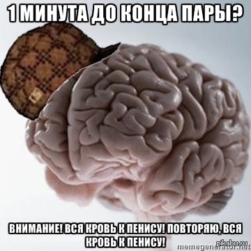 Вся кровь к пенису!