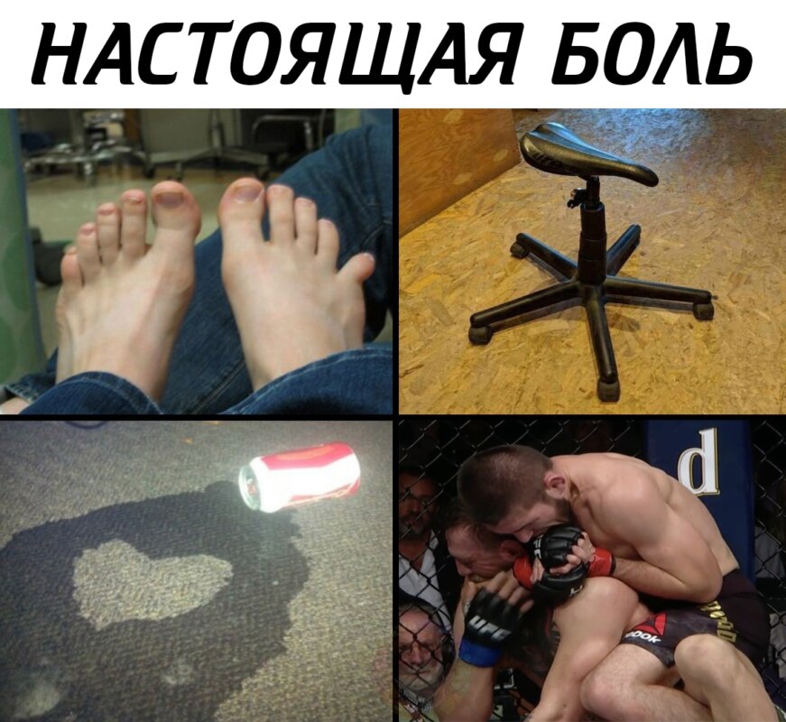 Нурмагомедов победил Макгрегора Нурмагомедов победил Макгрегора