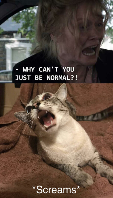 Why Can't You Just Be Normal - Meowbadook